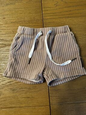 Trilogy Striped Brown Drawstring Shorts
